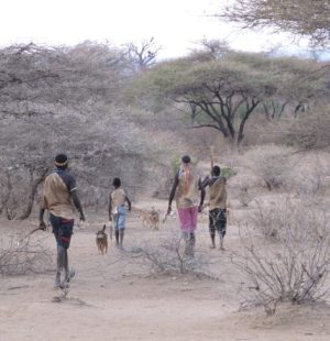 5069606034_d3e17d14f2_o