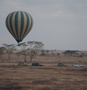 balloon.jpg1 balloon.jpg1